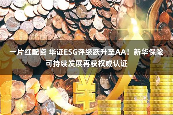 一片红配资 华证ESG评级跃升至AA！新华保险可持续发展再获权威认证
